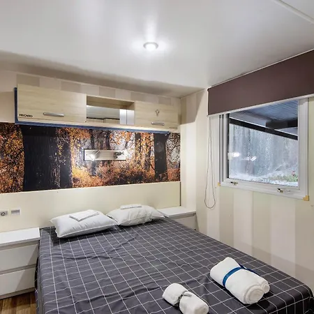 Nature Stone And فيلة